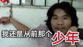 窃瓦拉格表情包重置