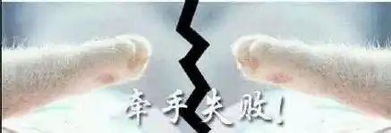  动态猫爪子表情包