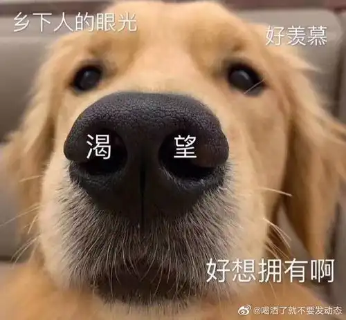  打游戏
