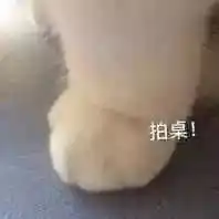  表情包丨小黄鸡2.0来了超可爱表情包