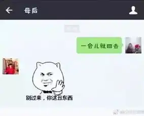  现在和爸妈聊天也需要斗智斗勇了看了让人笑cry