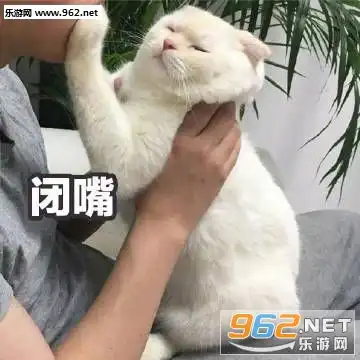  死者目前情形稳定表情包一天也就困个24小时表情包下载乐游网游戏下载
