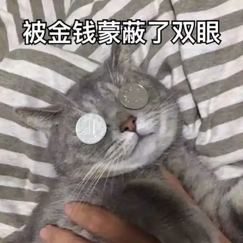 披被子的图片表情包同床
