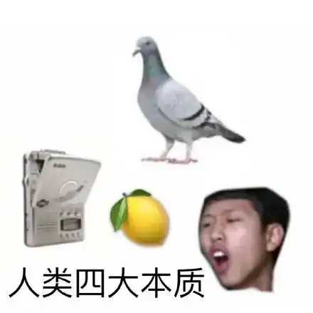  热门斗图