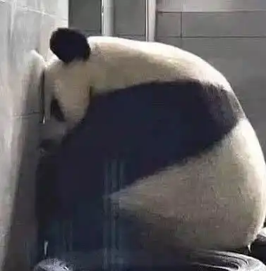 地铁老头看手机表情包