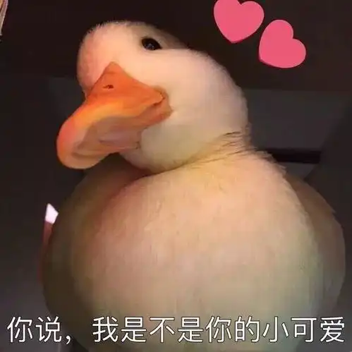  网红机免费玩礼品赢到就拿走