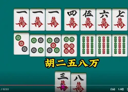  求一个麻将摆牌软件不是游戏,最好是电脑端的