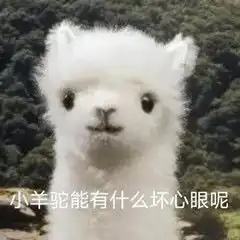  表情包小动物能有什么坏心眼呢