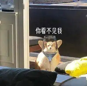  沙雕表情包等你回消息的我