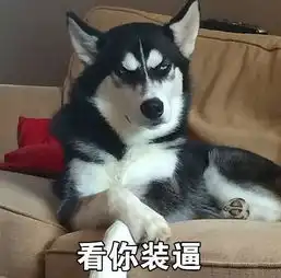 养狗的注意济南养犬新规,这些情况五年内不得养犬