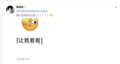  苏有朋为什么我还是没有