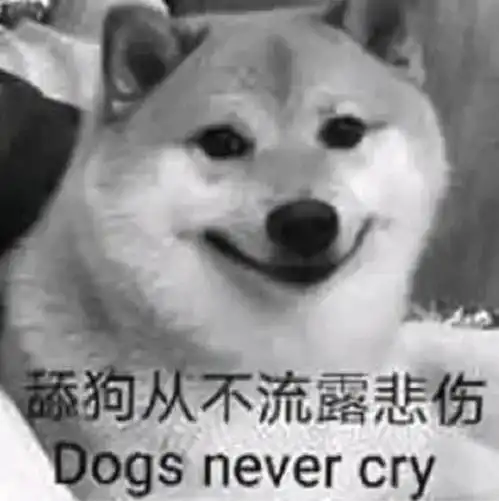  沙雕表情包傻瓜,你怎么可能是傻瓜呢,傻瓜
