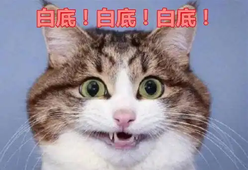  教师资格证审核有多离谱刘海露牙都不合格,学生我emo了