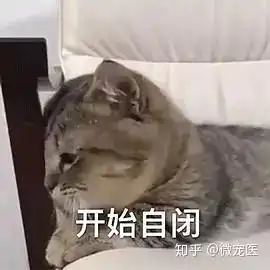  我家猫牙不好怎么办巧了,我家的也是