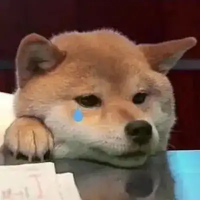 一只柴犬抱着鱼表情包狗