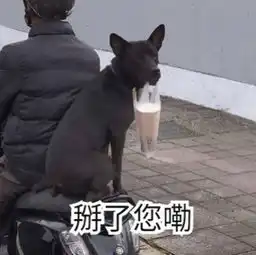  怼你没道理表情你脑子冒出的水,锅盖都盖不住