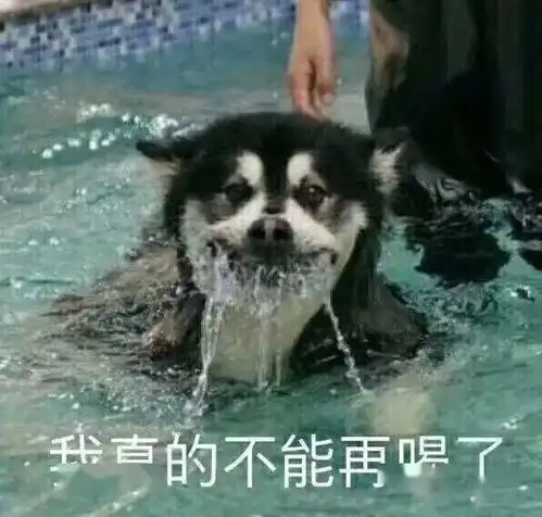  你可以不养狗,但一定要有表情包
