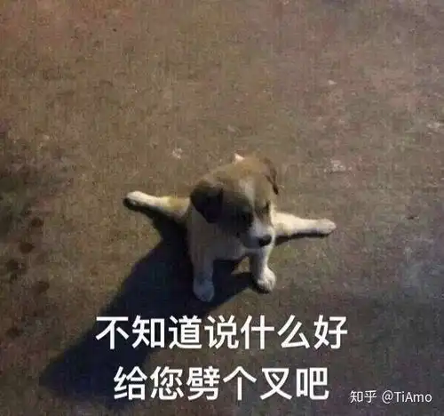 hi表情包动作图卫生纸
