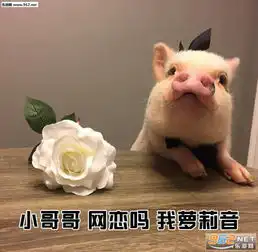  小哥哥网恋吗我铁观音一系列表情包小哥哥欠抽吗我千手观音表情包下载乐游网游戏下载