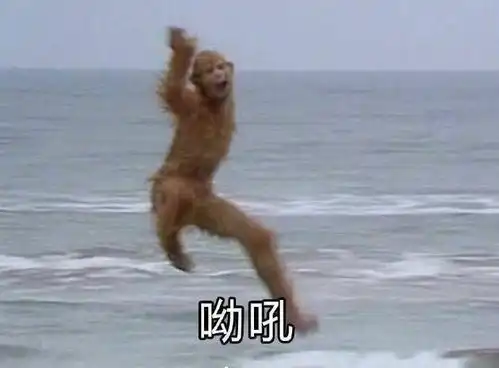 日本回答是的表情包头骨