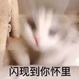  闪现表情包闪现微信表情包闪现qq表情包发表情fabiaoqing.com