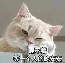 睡不着系列表情包一会儿