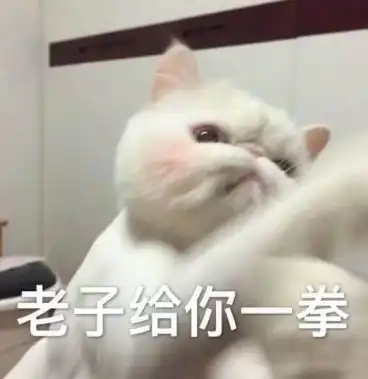  冬季团建有什么好的项目