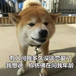 表示惊慌的表情包汪星人