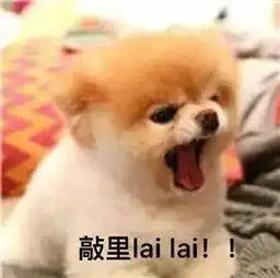  原来抖音也是种草机这些我通通都想要