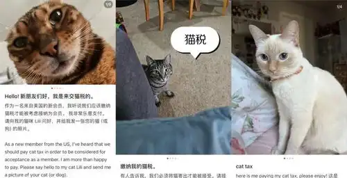  小红书炸了彭州成外国网友新宠赶紧围观