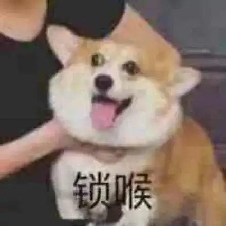  表情包小短腿柯基表情包