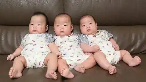  他们长得也太快了吧