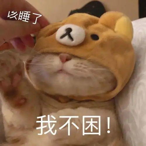  橘猫沙梨表情包