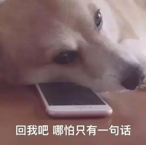  e句话看天下丨网红炸鸡店在厕所泡原材料整吐了