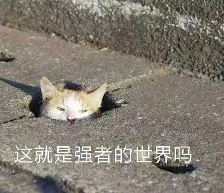  不能错过技术大咖私藏的八大软技能秘籍