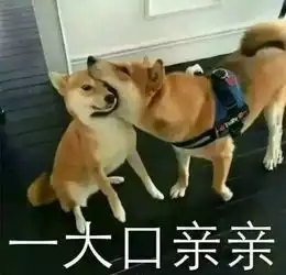  海量表情包仓库持续更新中