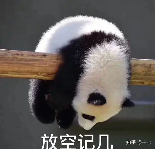  为什么现在大龄剩女不愿意嫁大龄剩男