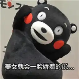  微信熊本熊带字表情包从古至今全都是套路腾牛个性网