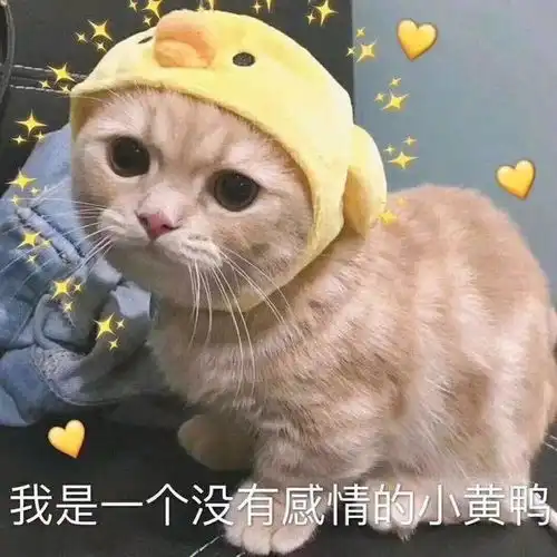  笑话十条你能体会到娶了一个懒媳妇的痛苦吗