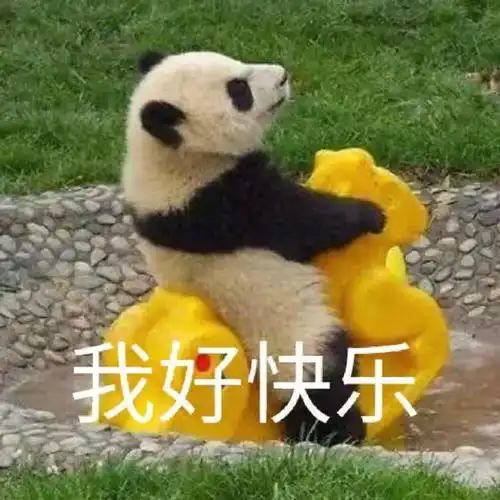  表情包缩写梗流行语2021年度top10