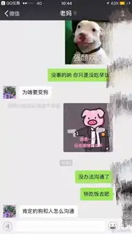 聊着聊着就不回复了表情