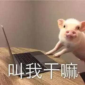 变声器表情包铁观音