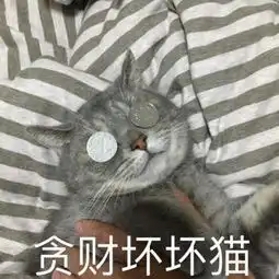 披被子的图片表情包金钱