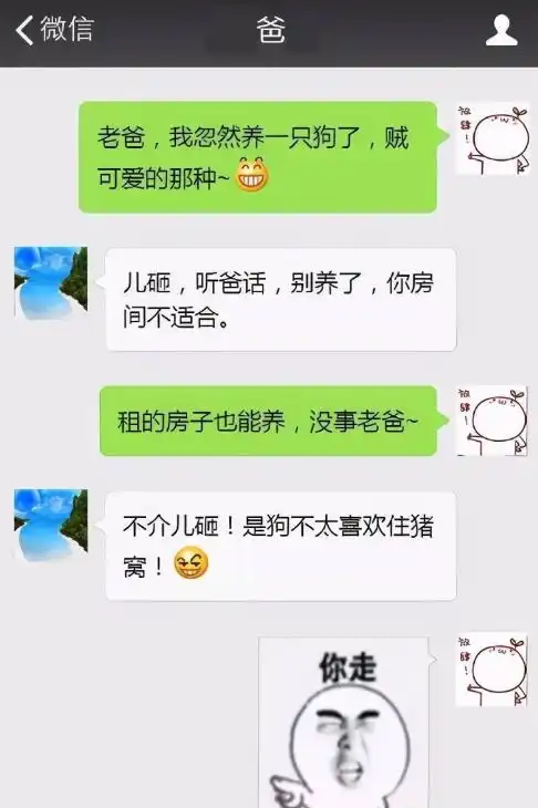  你是不是不服,大学生与父母聊天,却因一个表情遭无情回怼