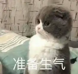  又来作妖节目大陆以前没清明节,都学台湾的