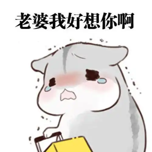  十条段子我想吃什么就煮什么