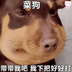  沙雕肿脸狗表情包