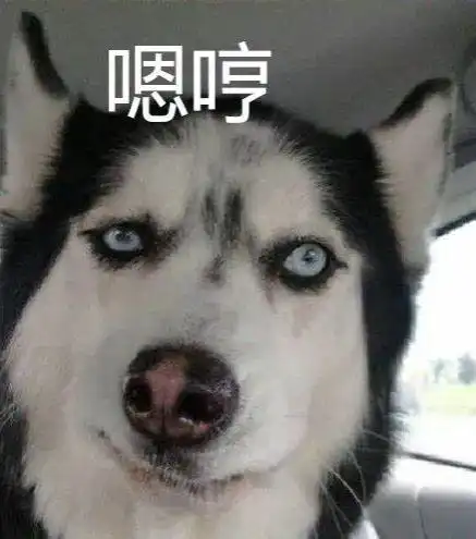 哈士奇吐舌头表情包山羊