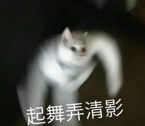 啊啊啊动物表情包抓拍