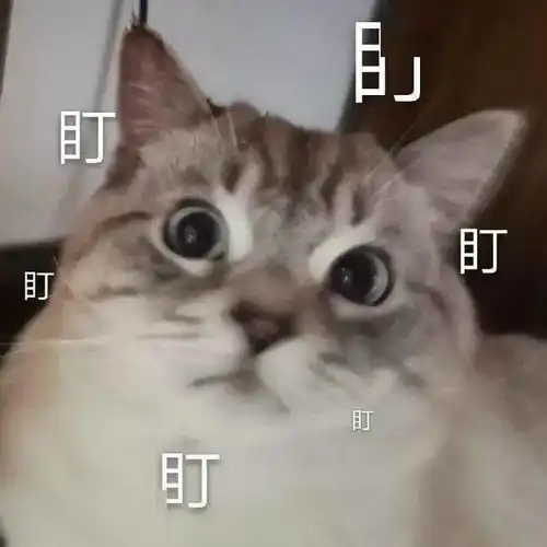  过来人劝你,一定要提前模拟考,不然考试可能答不完